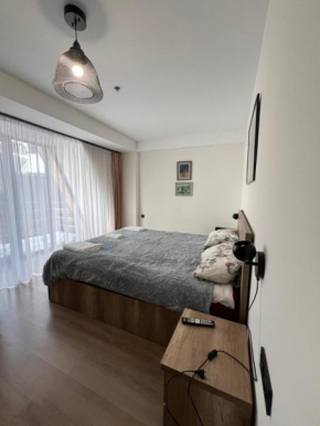 Junior Suite Marshall Gudauri Apartment